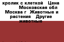 кролик с клеткой › Цена ­ 1 500 - Московская обл., Москва г. Животные и растения » Другие животные   